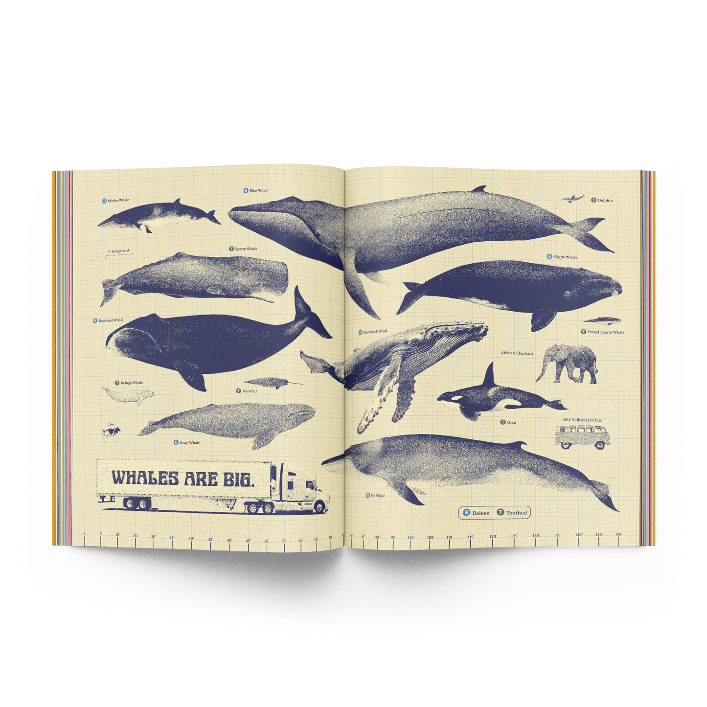 The Whale Issue 02.04