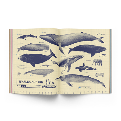 The Whale Issue 02.04