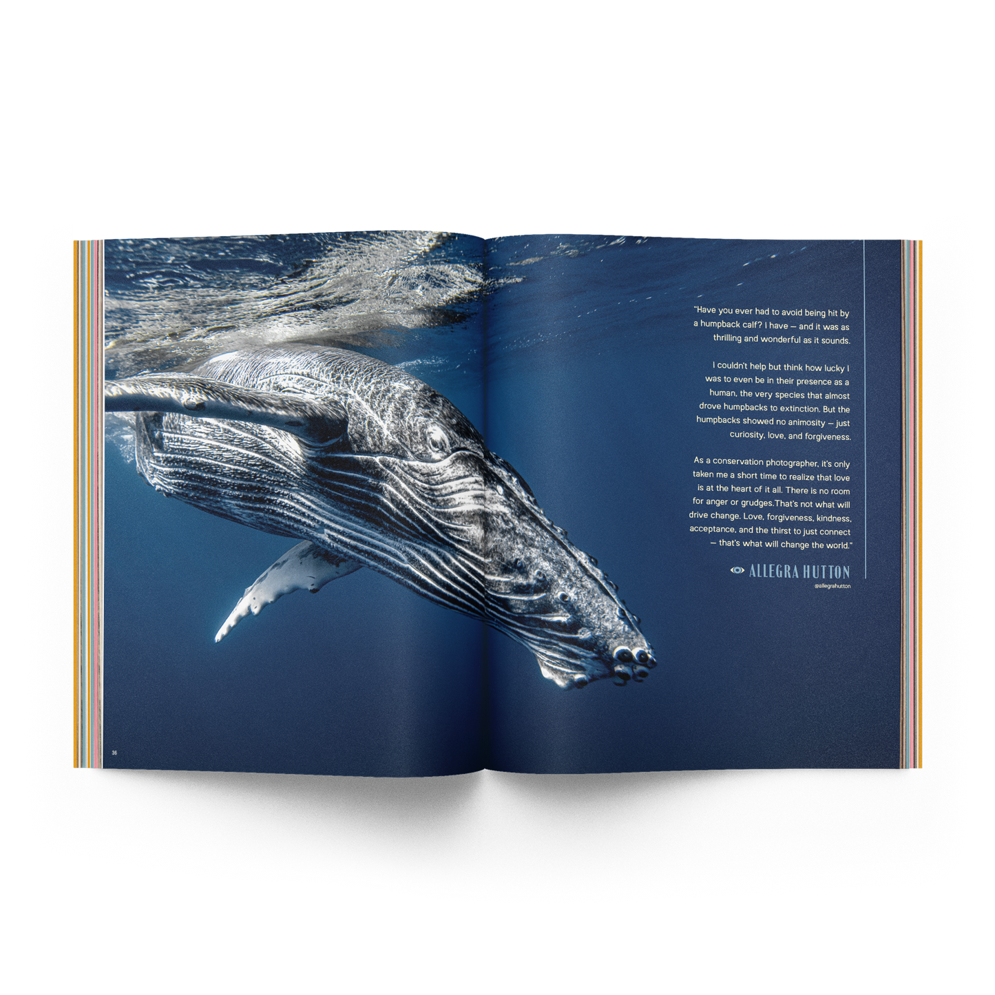 The Whale Issue 02.04