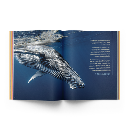 The Whale Issue 02.04