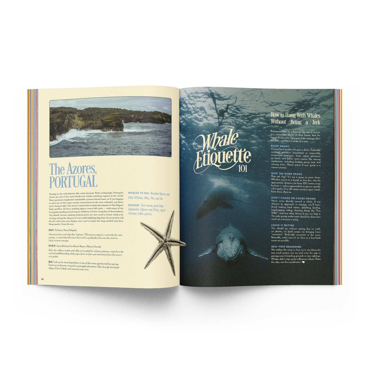 The Whale Issue 02.04