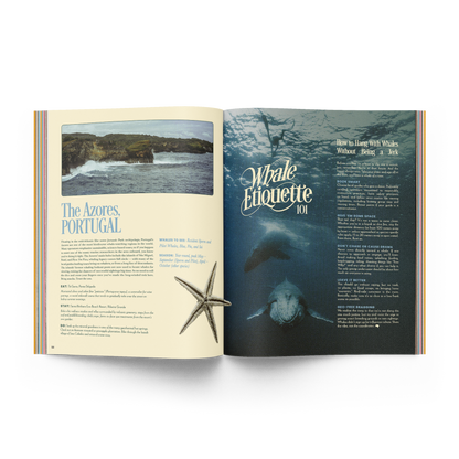 The Whale Issue 02.04