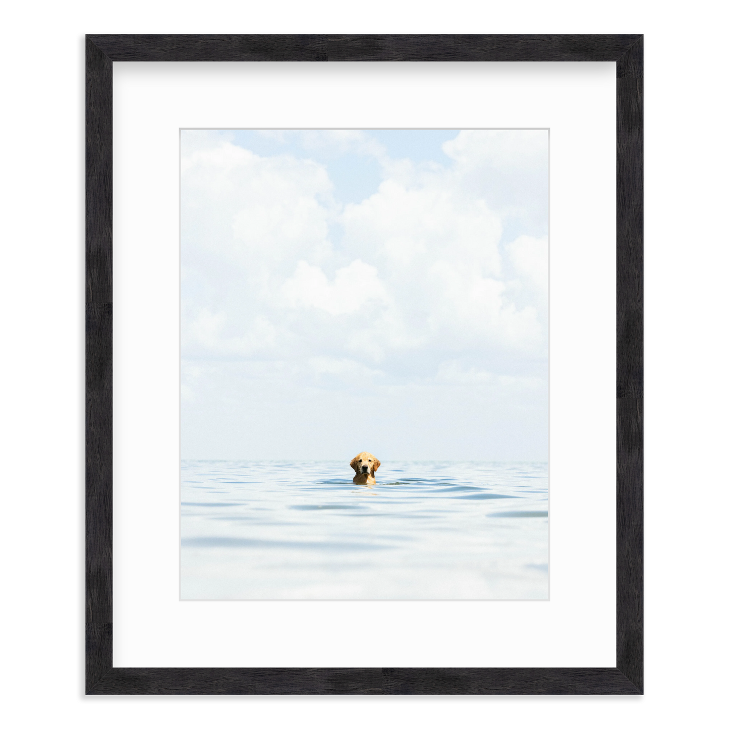 A Dog's Life by Danny Moulton