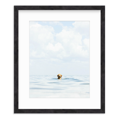 A Dog's Life by Danny Moulton