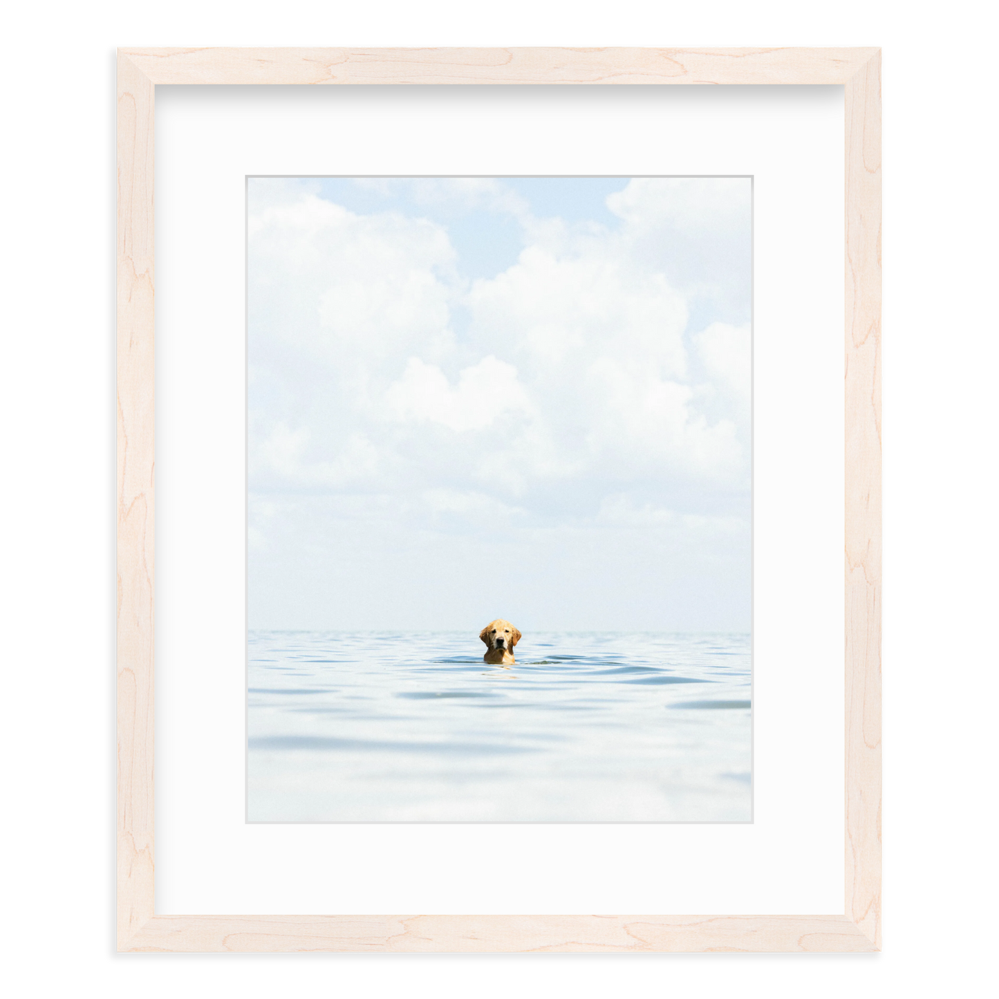 A Dog's Life by Danny Moulton