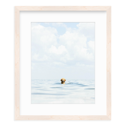 A Dog's Life by Danny Moulton