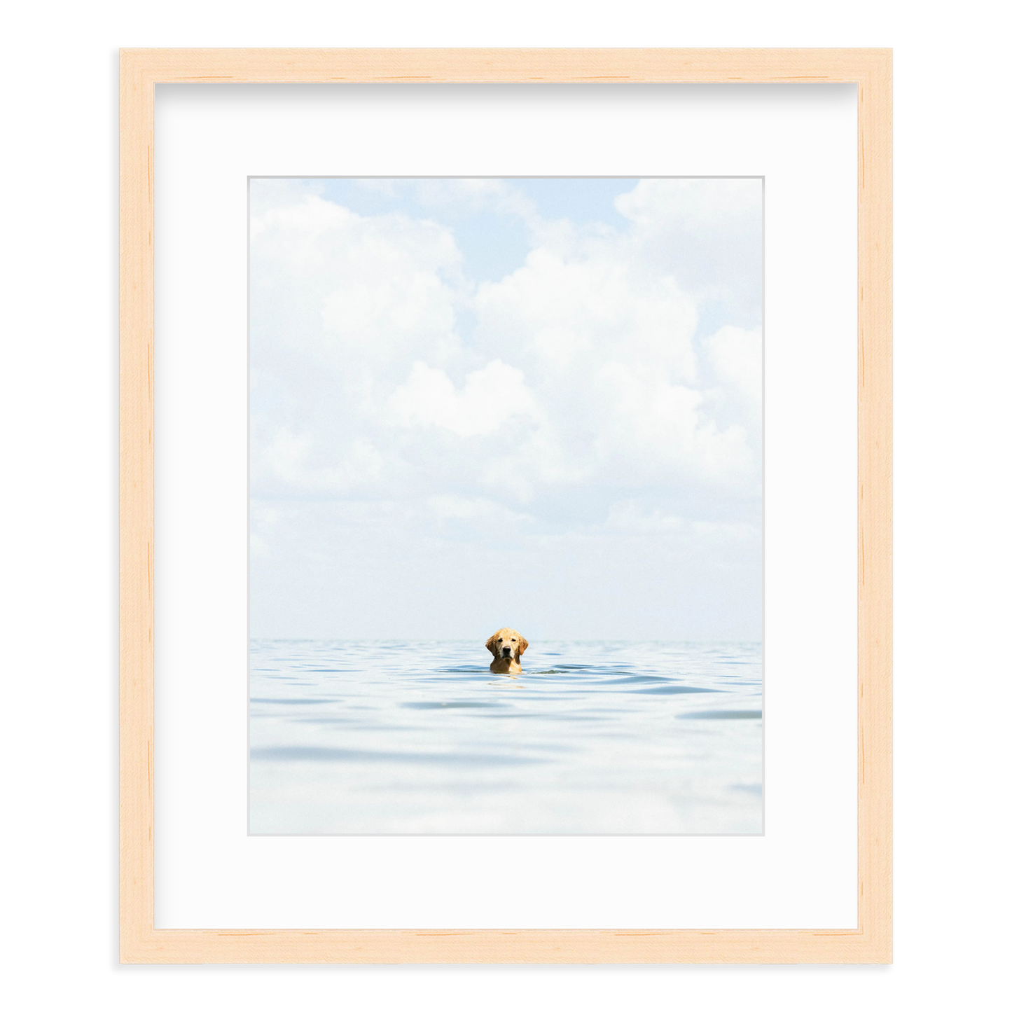 A Dog's Life by Danny Moulton