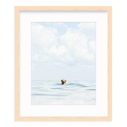 A Dog's Life by Danny Moulton