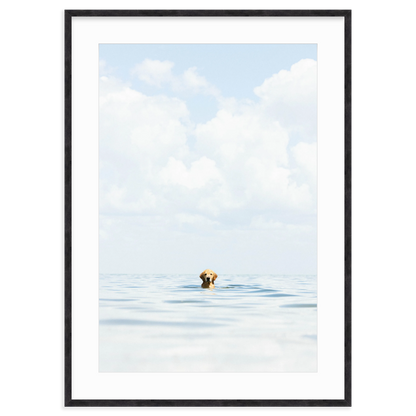A Dog's Life by Danny Moulton