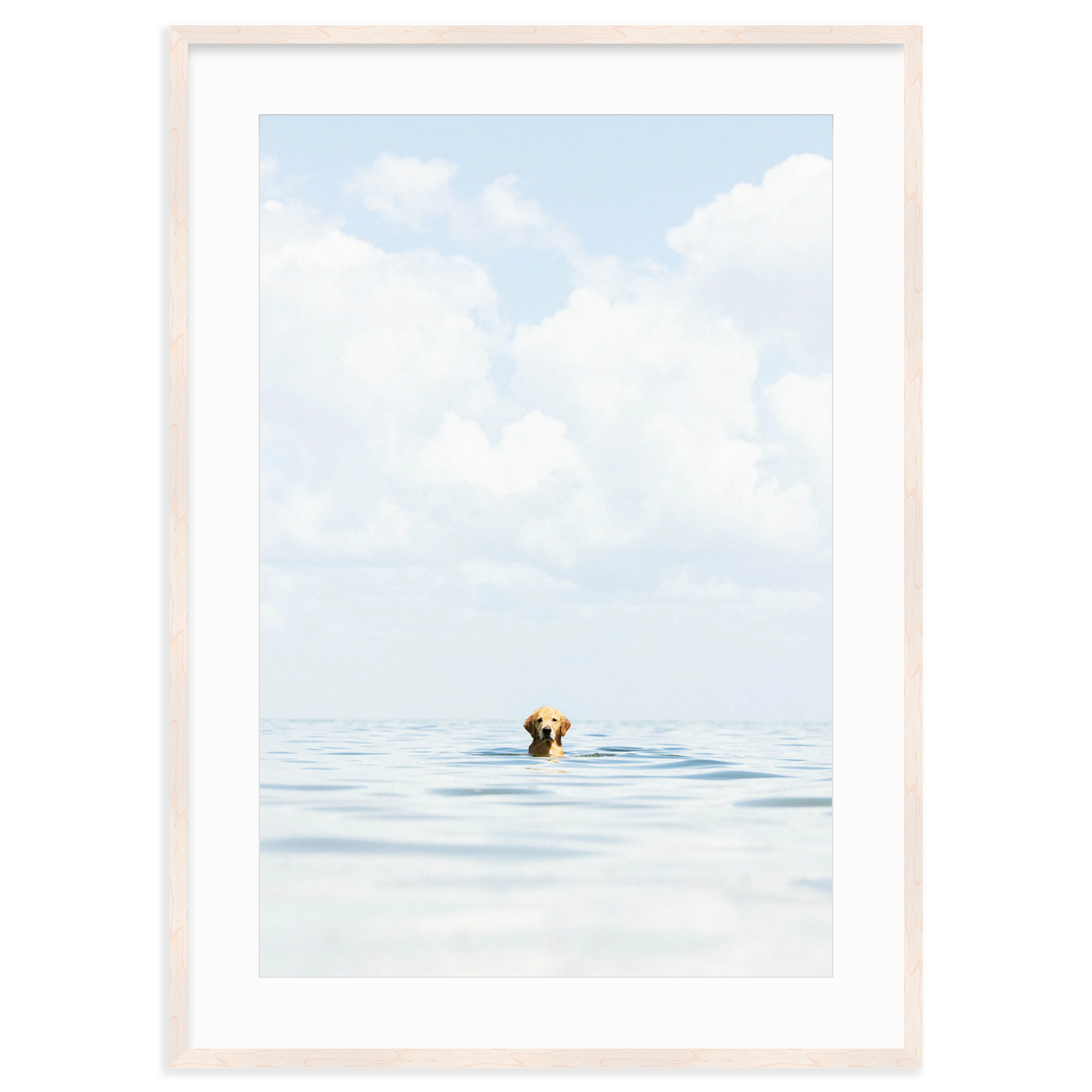 A Dog's Life by Danny Moulton