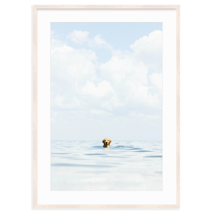 A Dog's Life by Danny Moulton