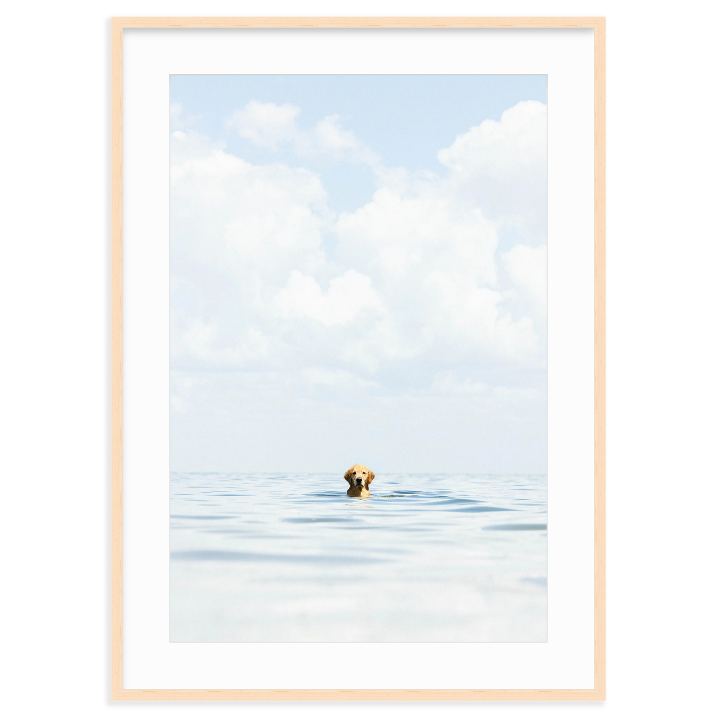 A Dog's Life by Danny Moulton