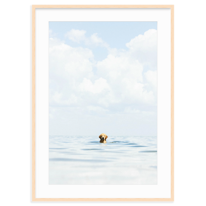 A Dog's Life by Danny Moulton
