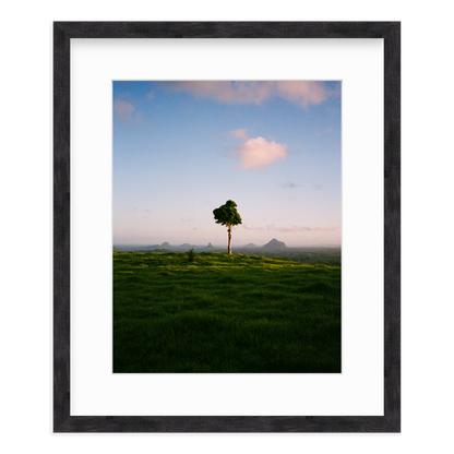 A Lonely Icon - One Tree Hill by Ryan Cuerden