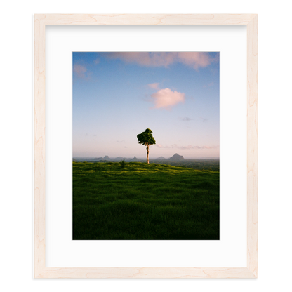 A Lonely Icon - One Tree Hill by Ryan Cuerden