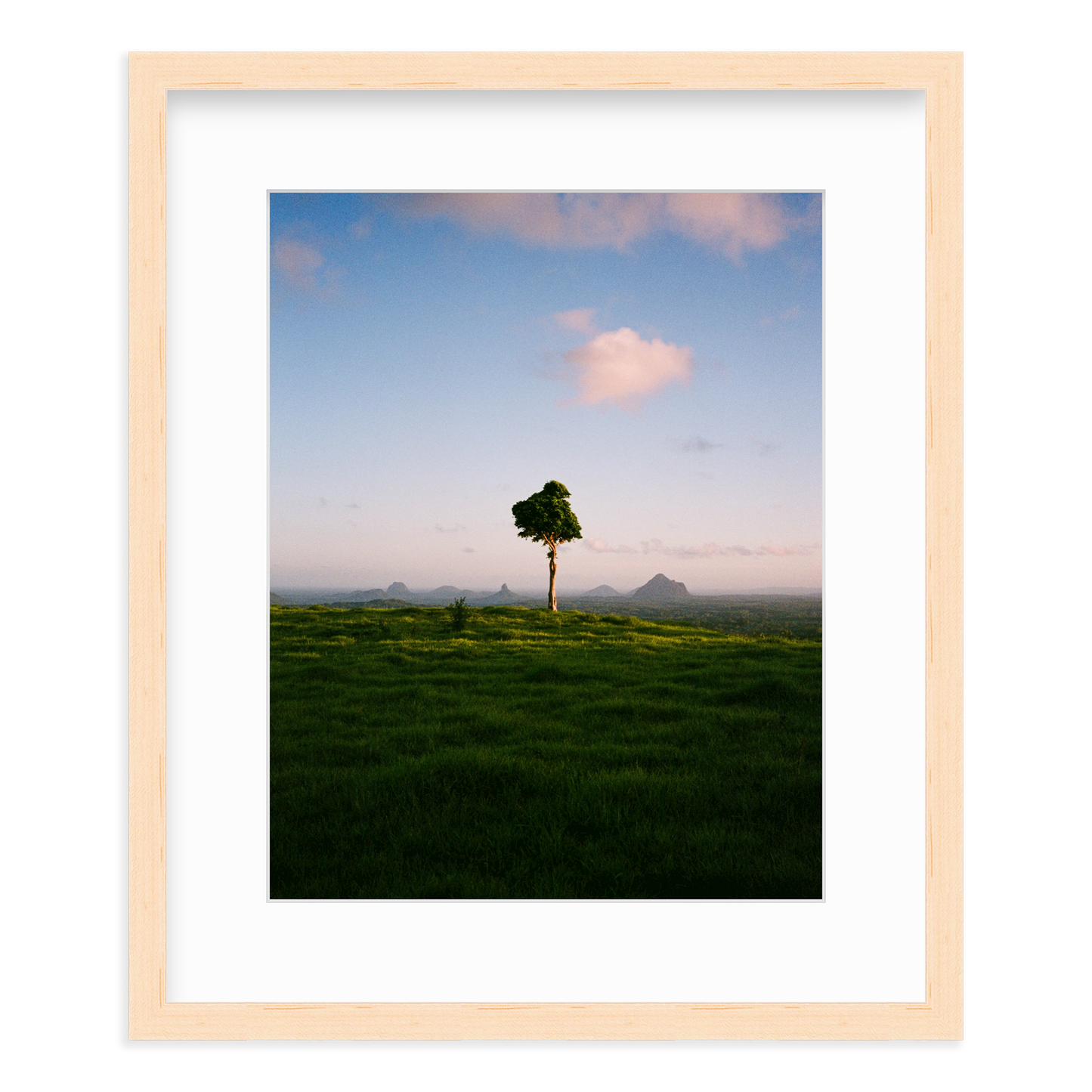 A Lonely Icon - One Tree Hill by Ryan Cuerden
