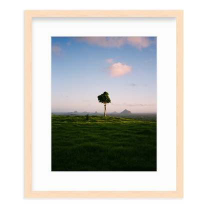 A Lonely Icon - One Tree Hill by Ryan Cuerden