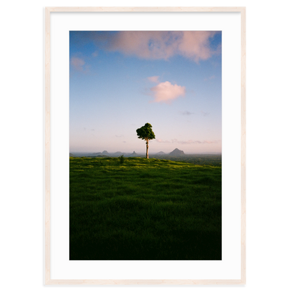 A Lonely Icon - One Tree Hill by Ryan Cuerden