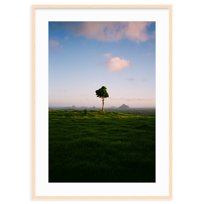 A Lonely Icon - One Tree Hill by Ryan Cuerden