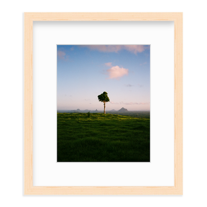 A Lonely Icon - One Tree Hill by Ryan Cuerden