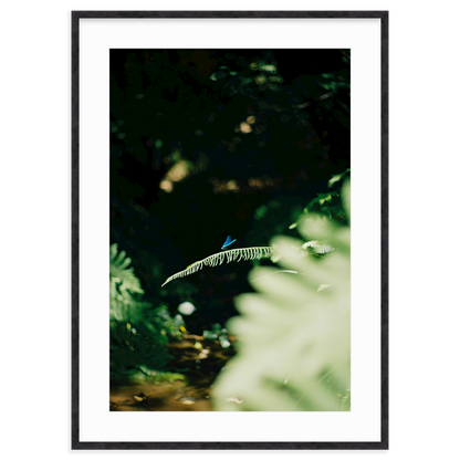 Dragonfly by Lukas Brunner