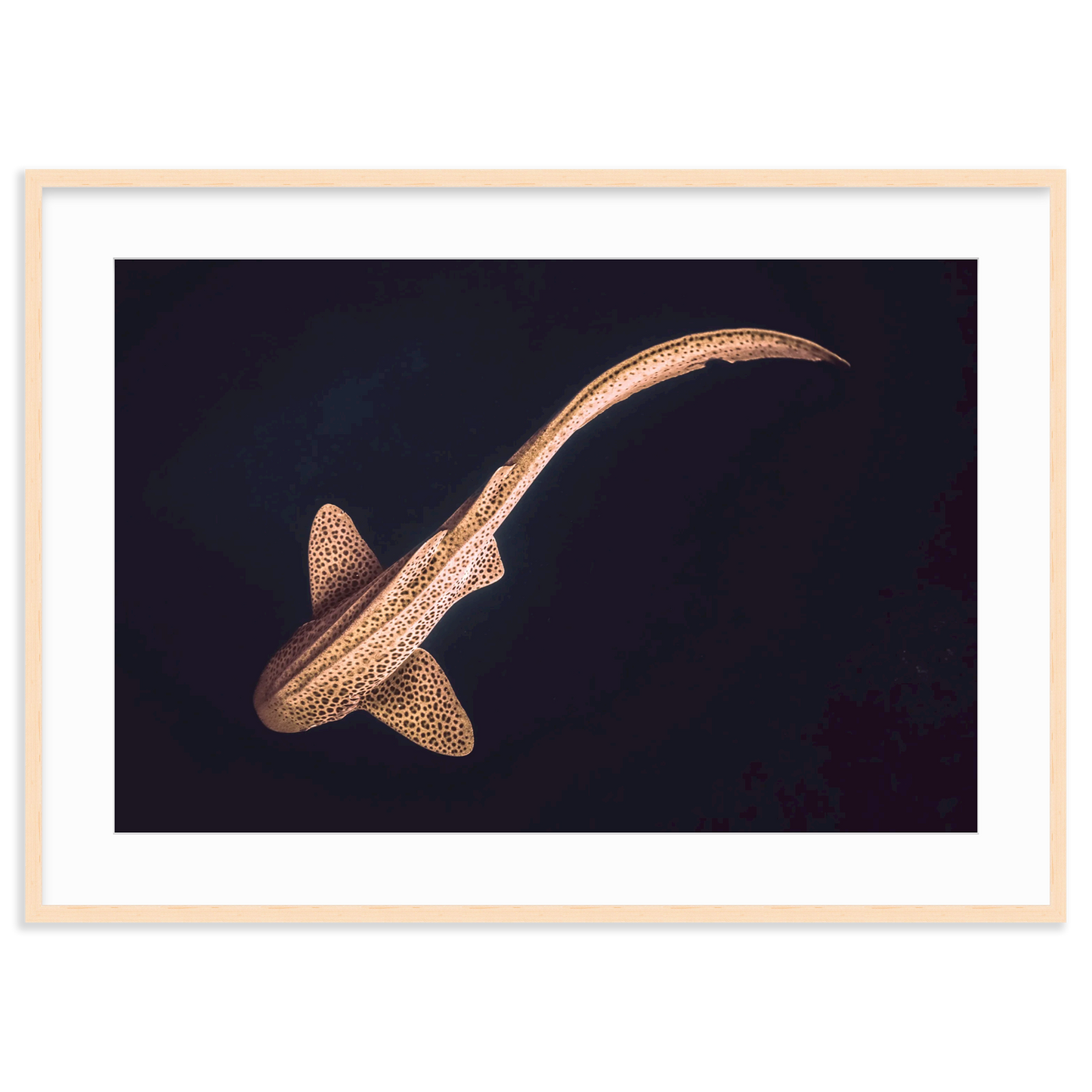 Ember by Rosie Richards