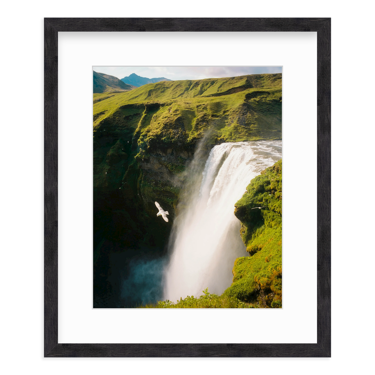 Free Fall by Flip Twogood