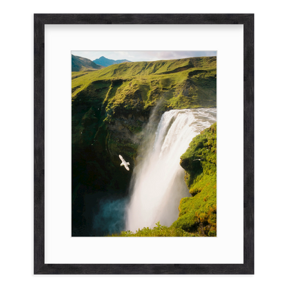 Free Fall by Flip Twogood