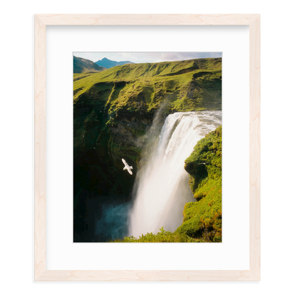 Free Fall by Flip Twogood