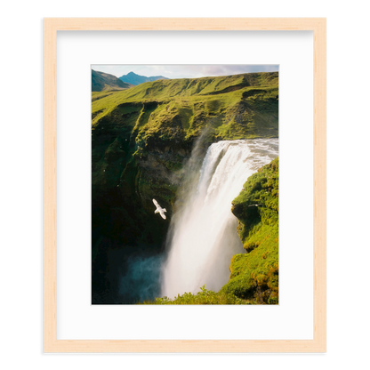 Free Fall by Flip Twogood