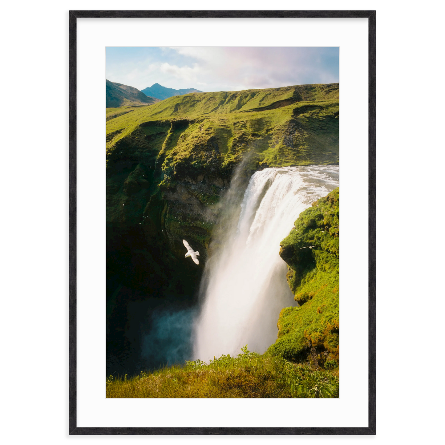 Free Fall by Flip Twogood