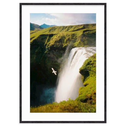 Free Fall by Flip Twogood