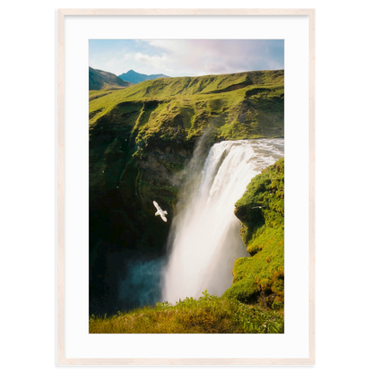 Free Fall by Flip Twogood