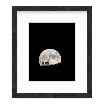 Moon by Mitch Warnick