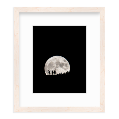 Moon by Mitch Warnick