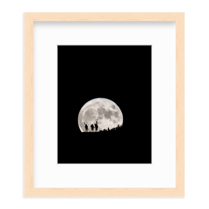 Moon by Mitch Warnick