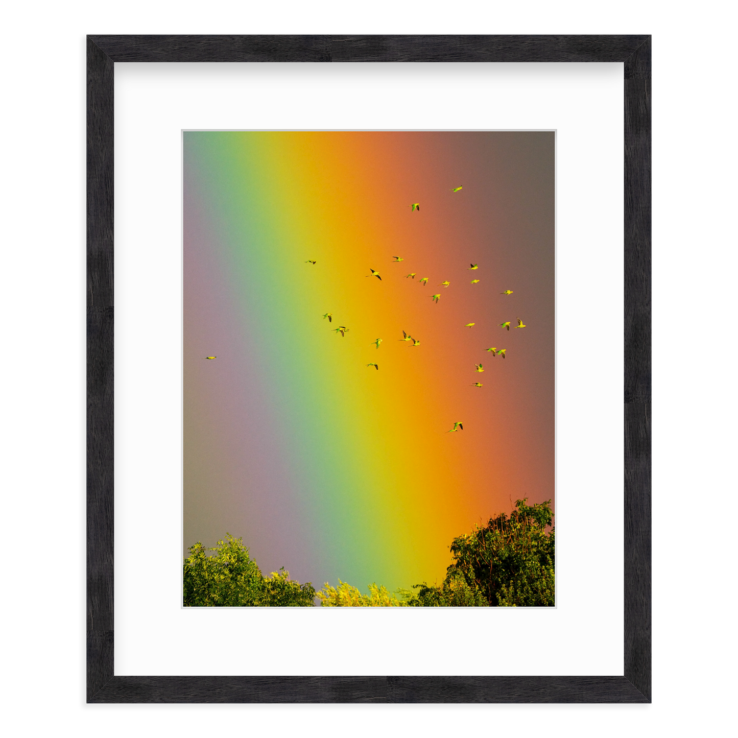 Over the Rainbow by Vai Meng Chan
