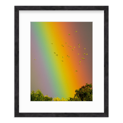 Over the Rainbow by Vai Meng Chan