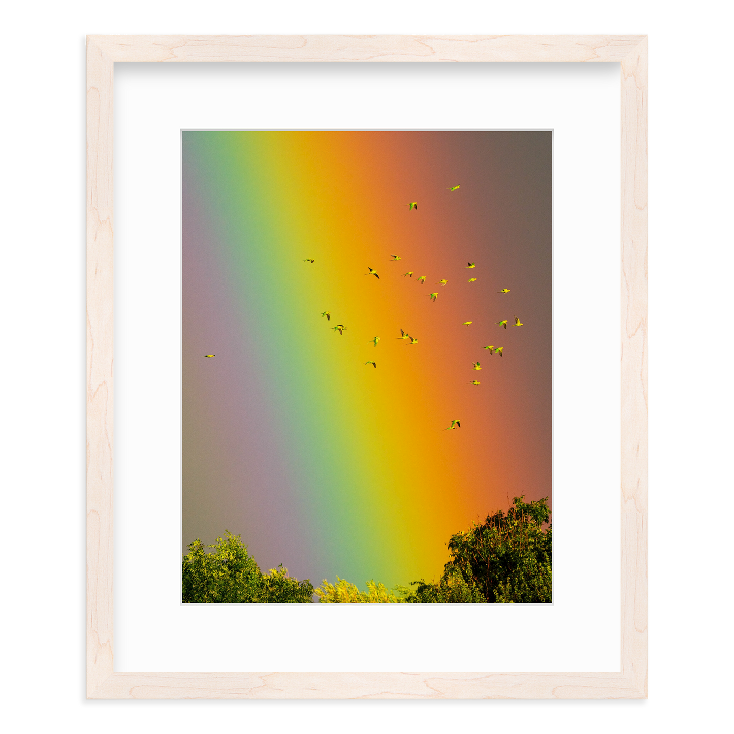 Over the Rainbow by Vai Meng Chan