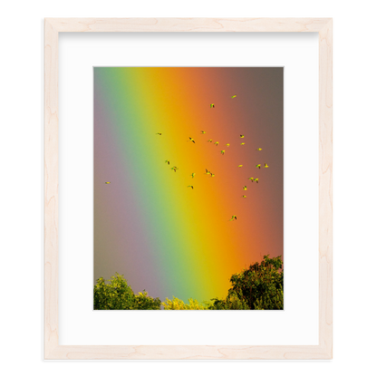 Over the Rainbow by Vai Meng Chan