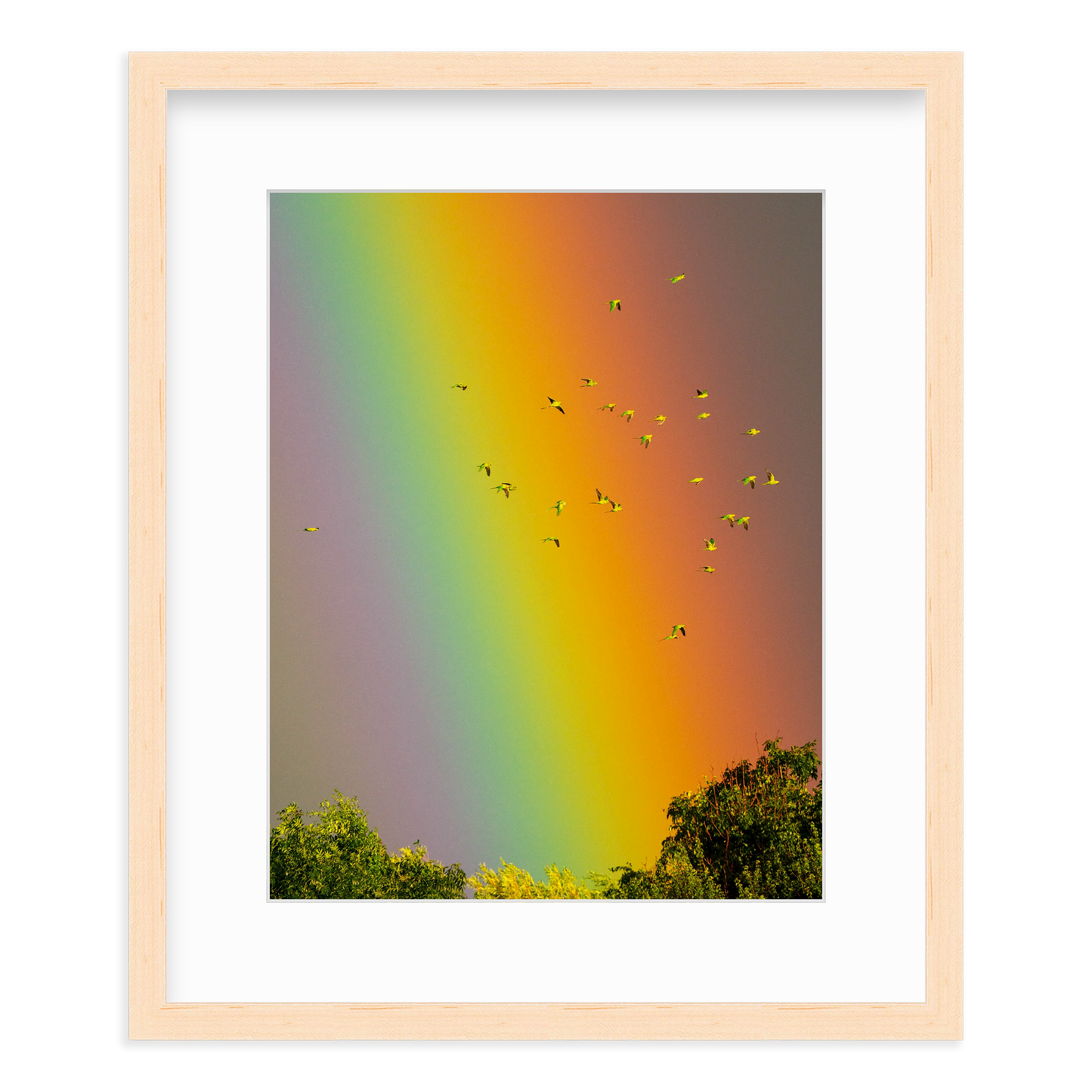 Over the Rainbow by Vai Meng Chan