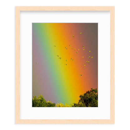 Over the Rainbow by Vai Meng Chan