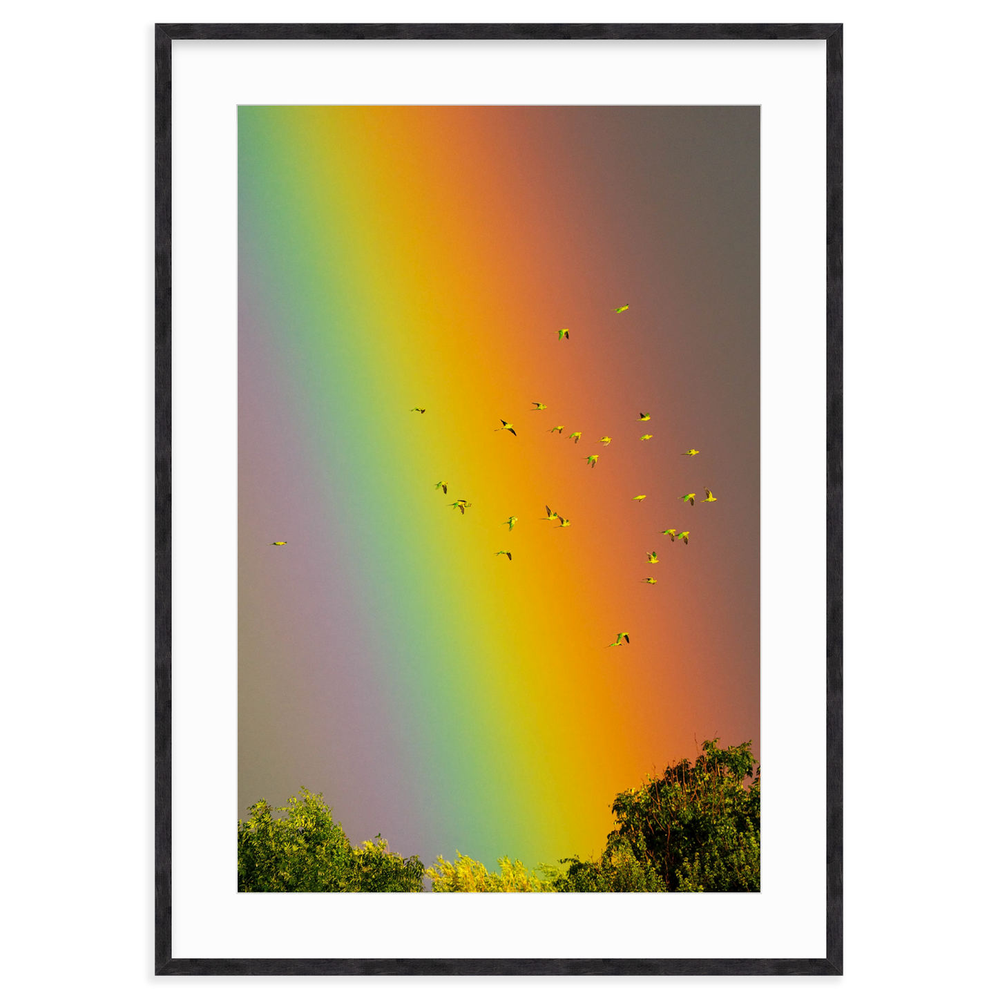 Over the Rainbow by Vai Meng Chan