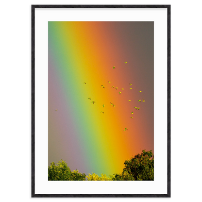 Over the Rainbow by Vai Meng Chan