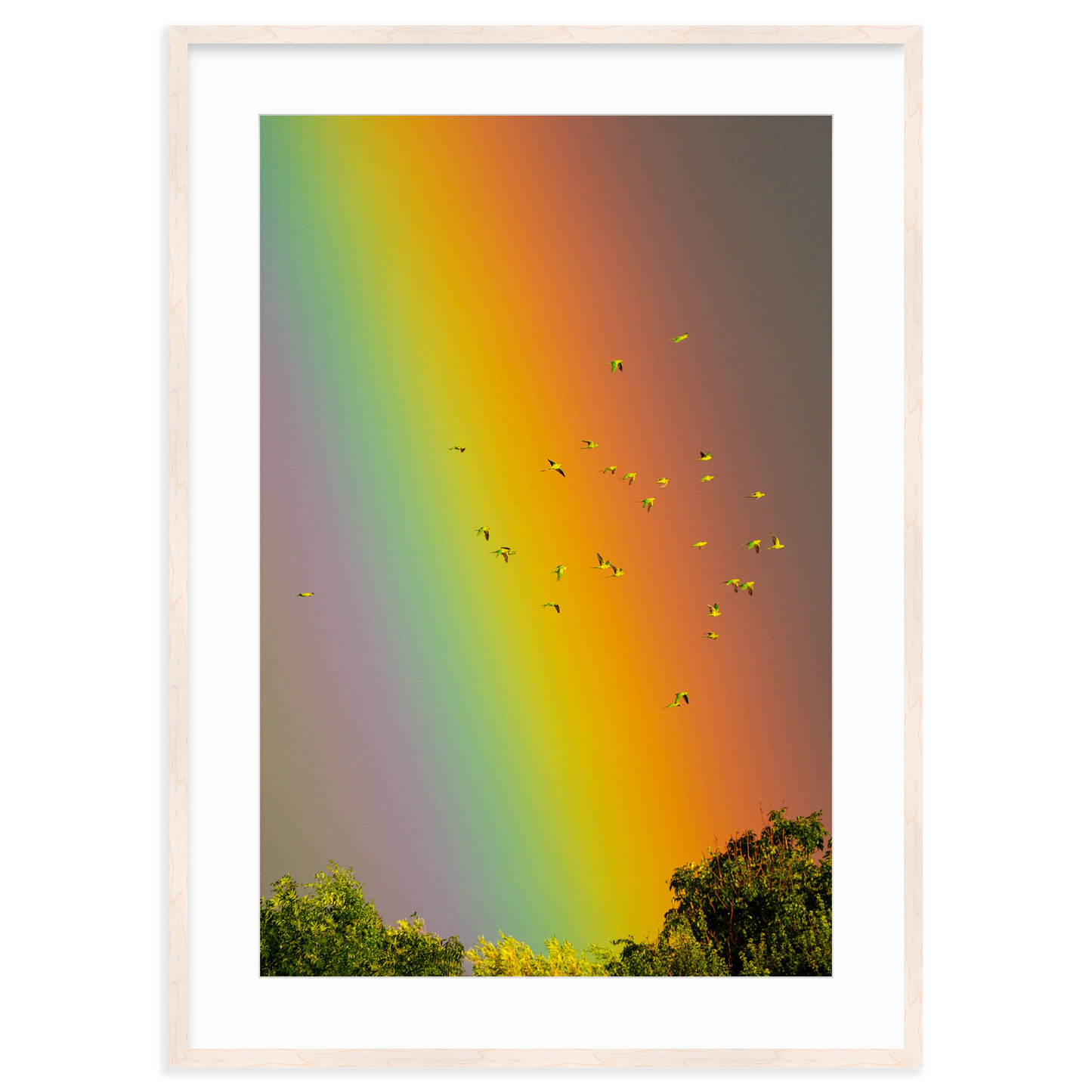 Over the Rainbow by Vai Meng Chan