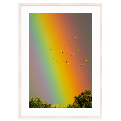 Over the Rainbow by Vai Meng Chan