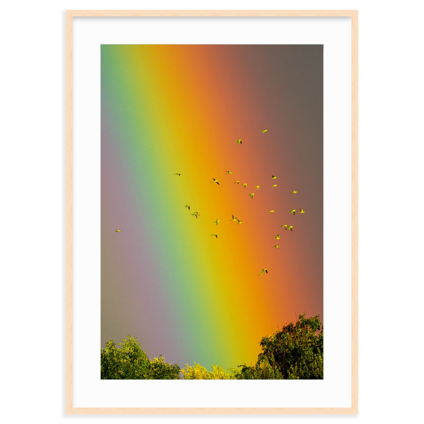 Over the Rainbow by Vai Meng Chan