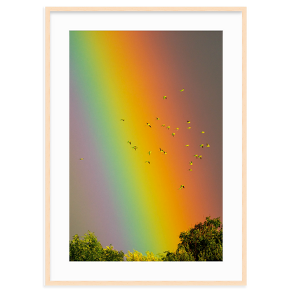 Over the Rainbow by Vai Meng Chan
