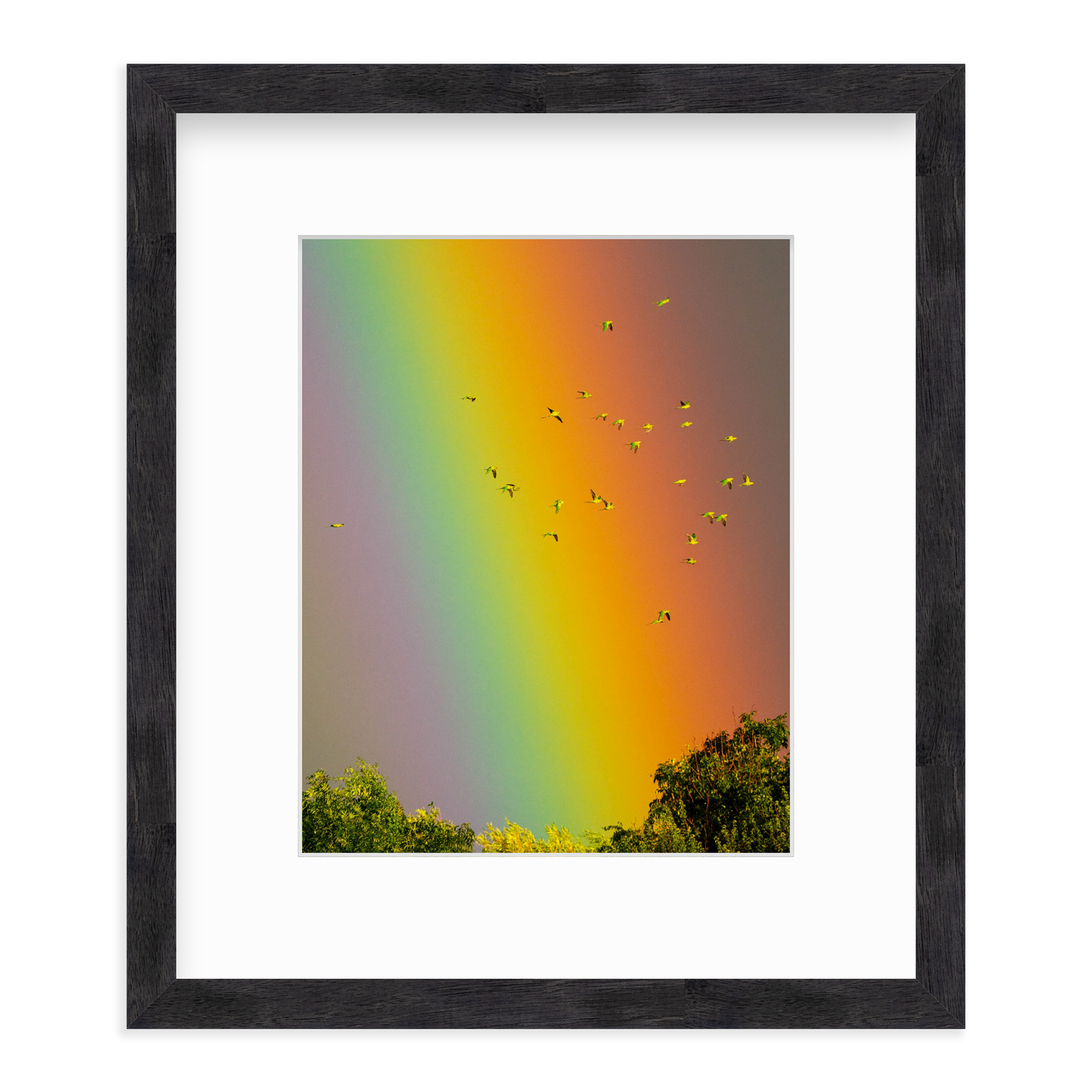 Over the Rainbow by Vai Meng Chan