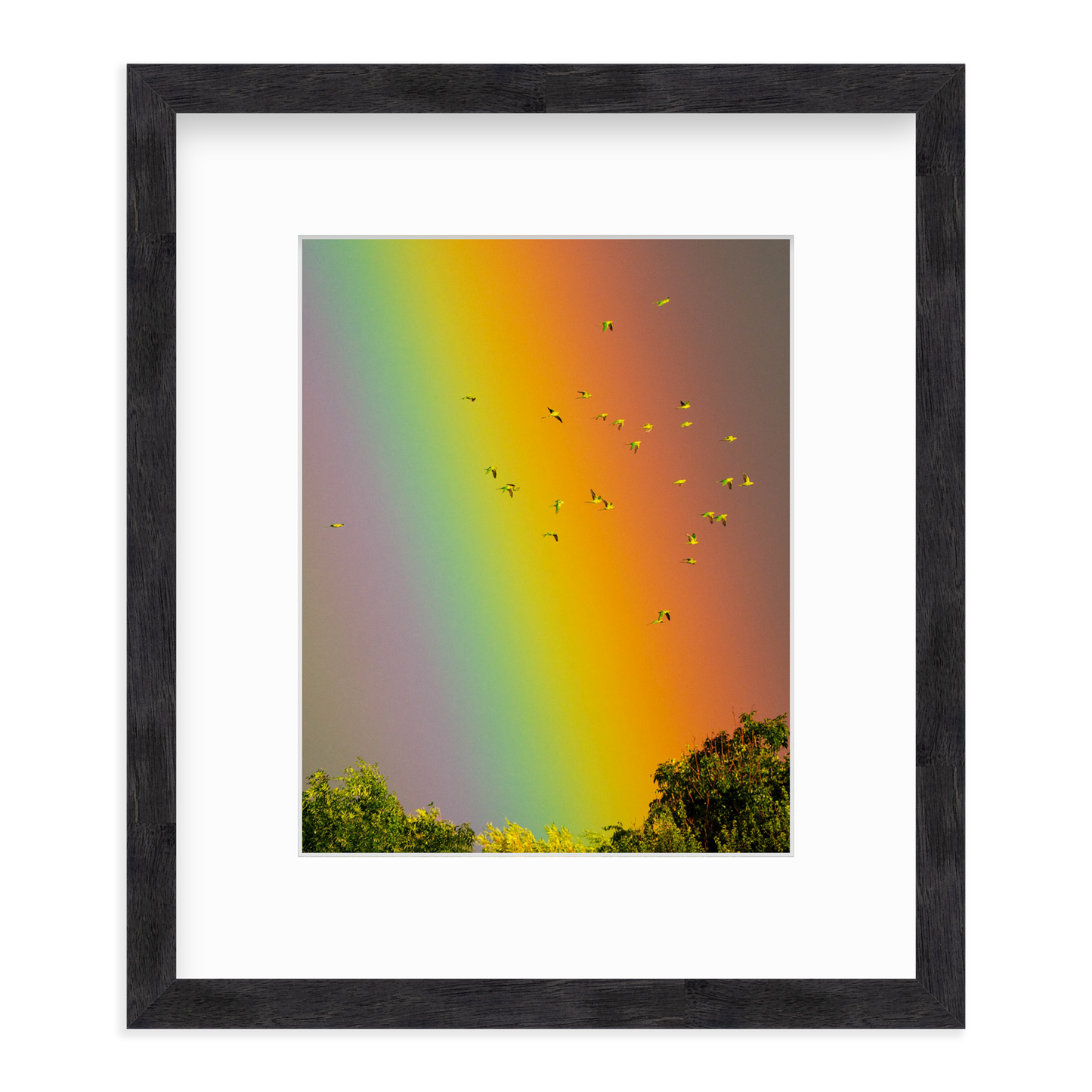 Over the Rainbow by Vai Meng Chan